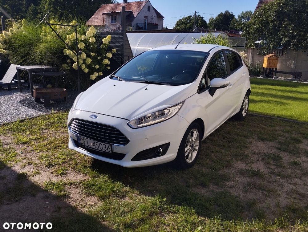 Ford Fiesta - 1