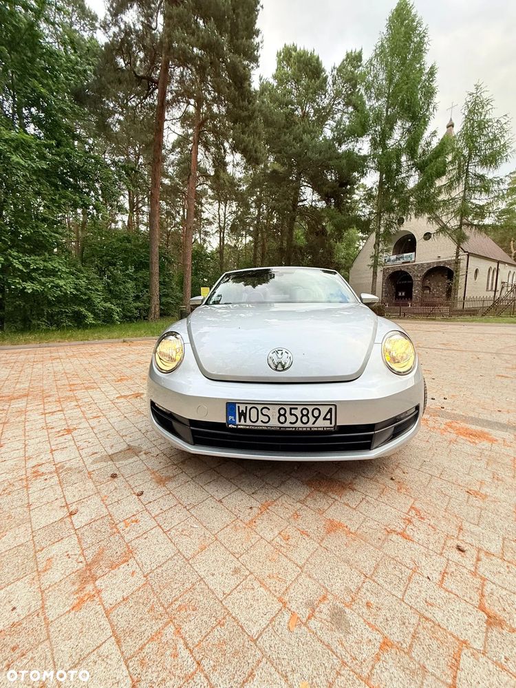 Volkswagen Beetle - 8