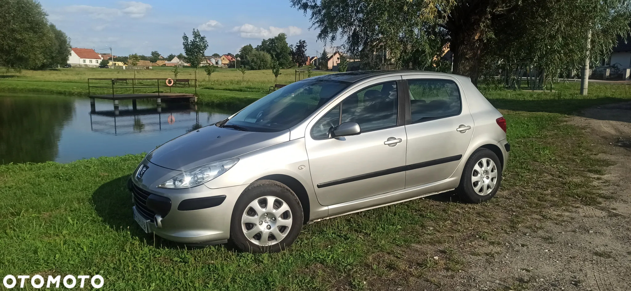 Peugeot 307 - 4