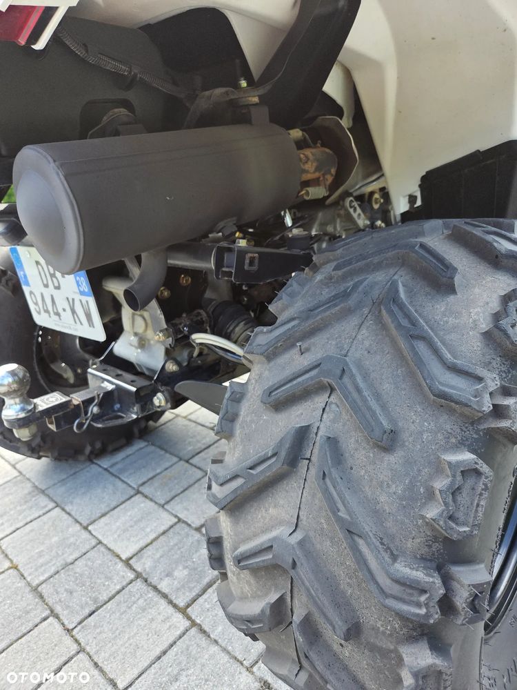 Polaris Sportsman - 15