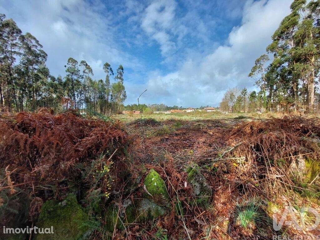 Terreno em Vila de Punhe de 4388,00 m2 - Grande imagem: 2/11