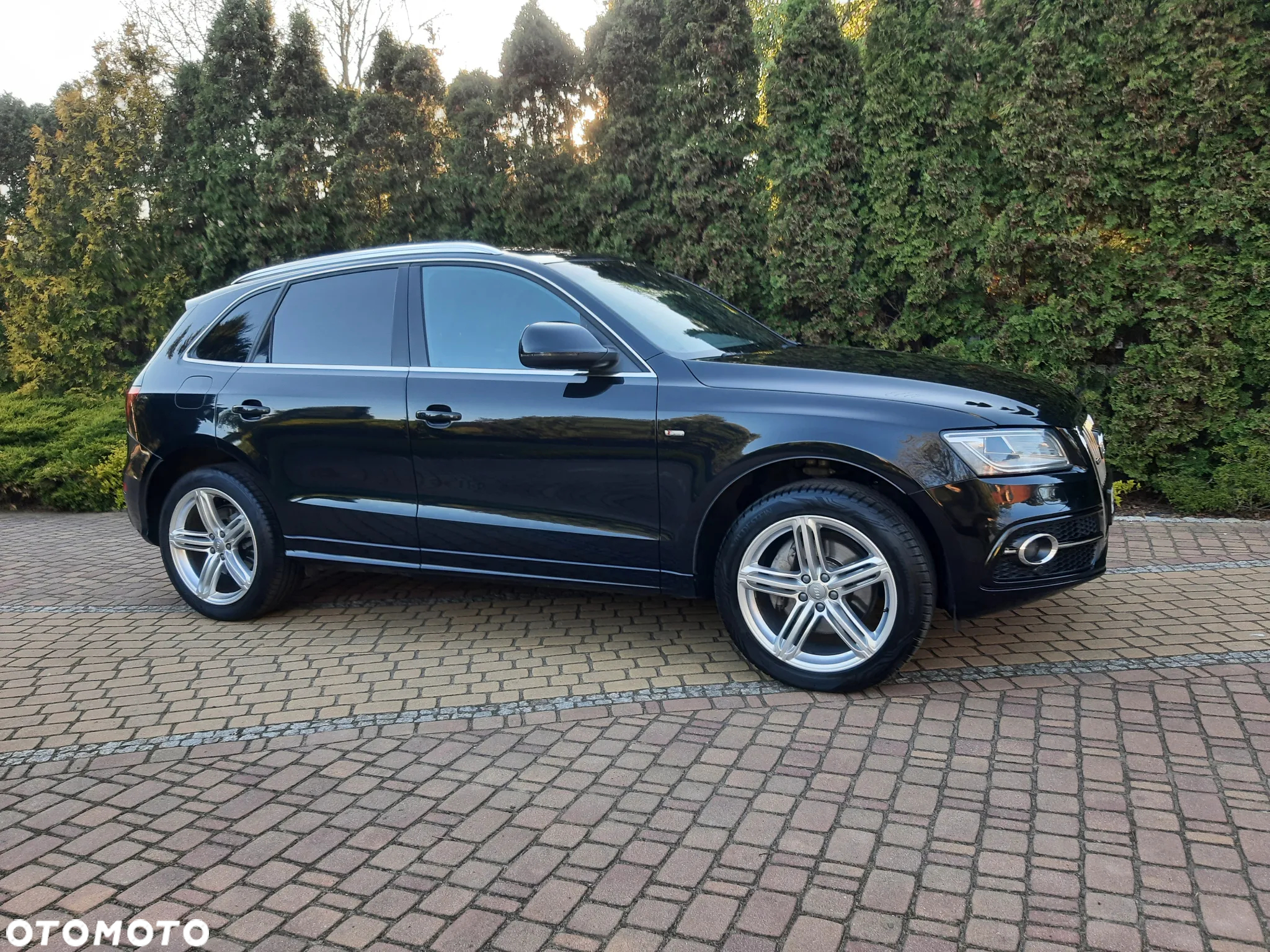 Audi Q5 3.0 TDI Quattro S tronic - 15
