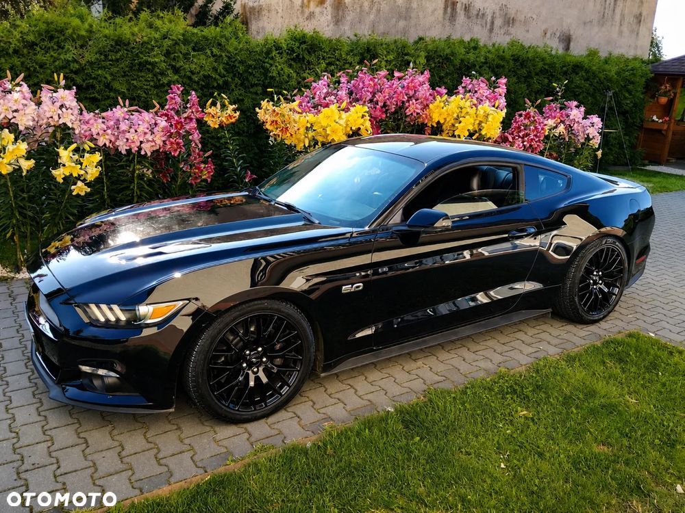 Ford Mustang 5.0 Ti-VCT V8 Black Shadow Edition - 2