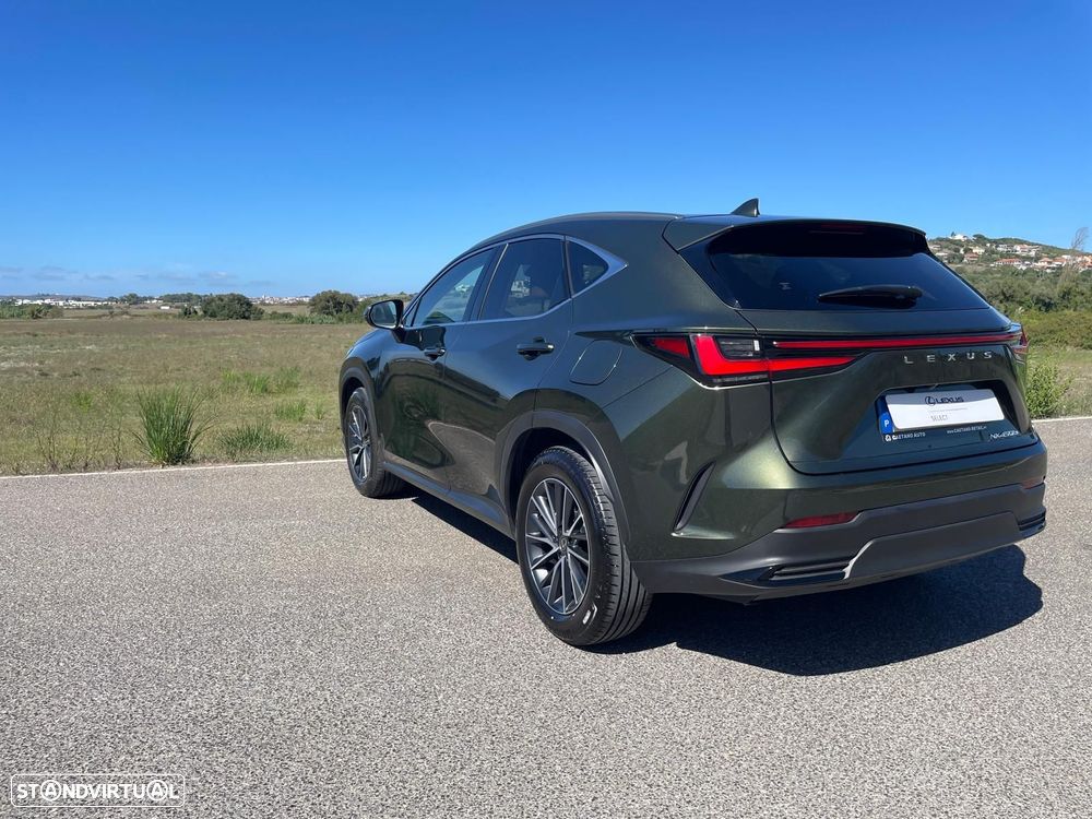 Lexus NX 450h+ - 8