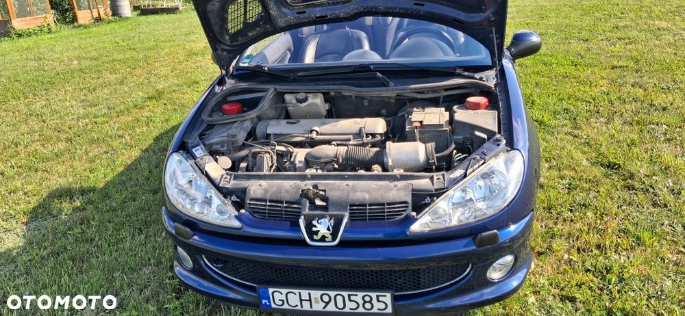 Peugeot 206 CC - 8