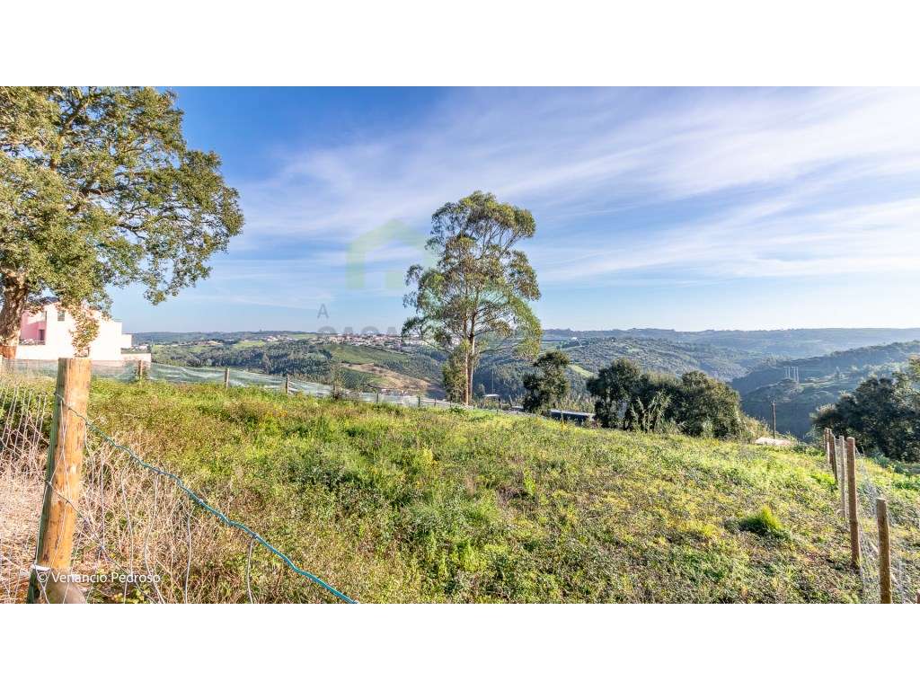 Lote - Ericeira 4 km, A Casa das Casas - Grande imagem: 5/7