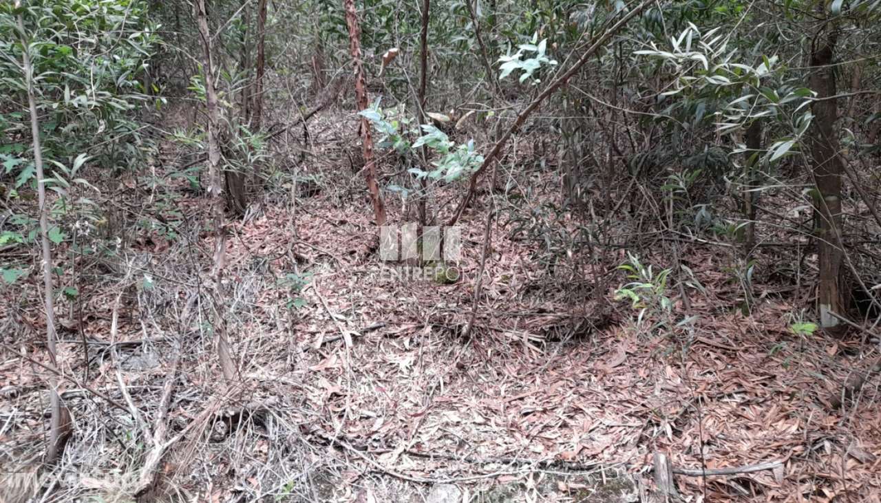 Venda Terreno, Vila Cova, Penafiel - Grande imagem: 2/10