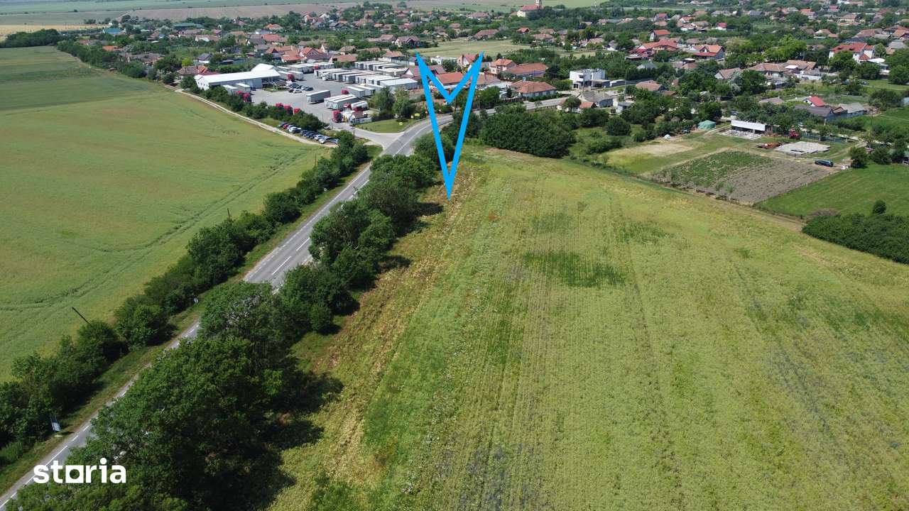 Teren 12.000 mp - Imagine principală: 2/2