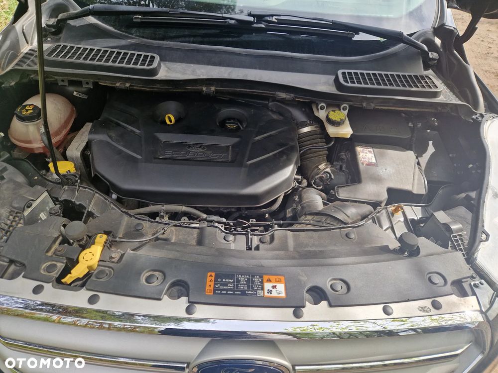 Ford Escape - 4