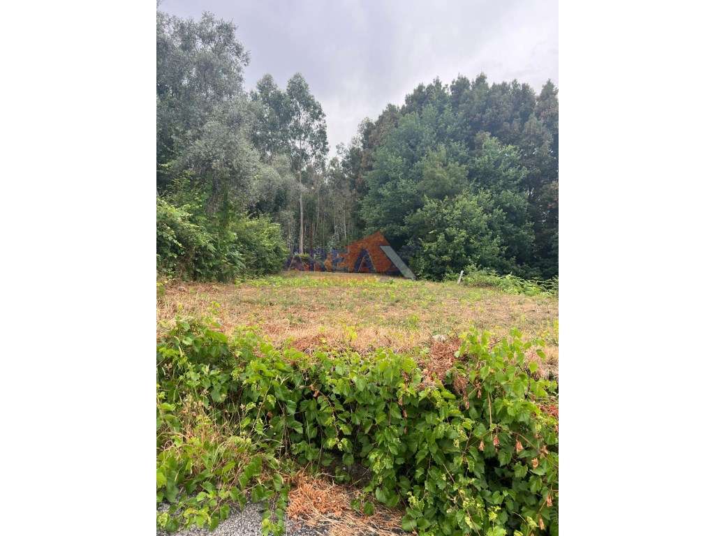 Terreno com projeto aprovado - Palmaz - Grande imagem: 4/13