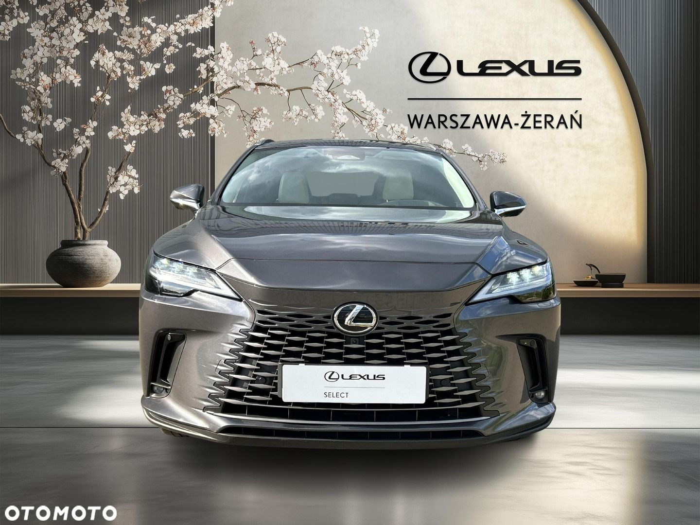 Lexus RX - 10