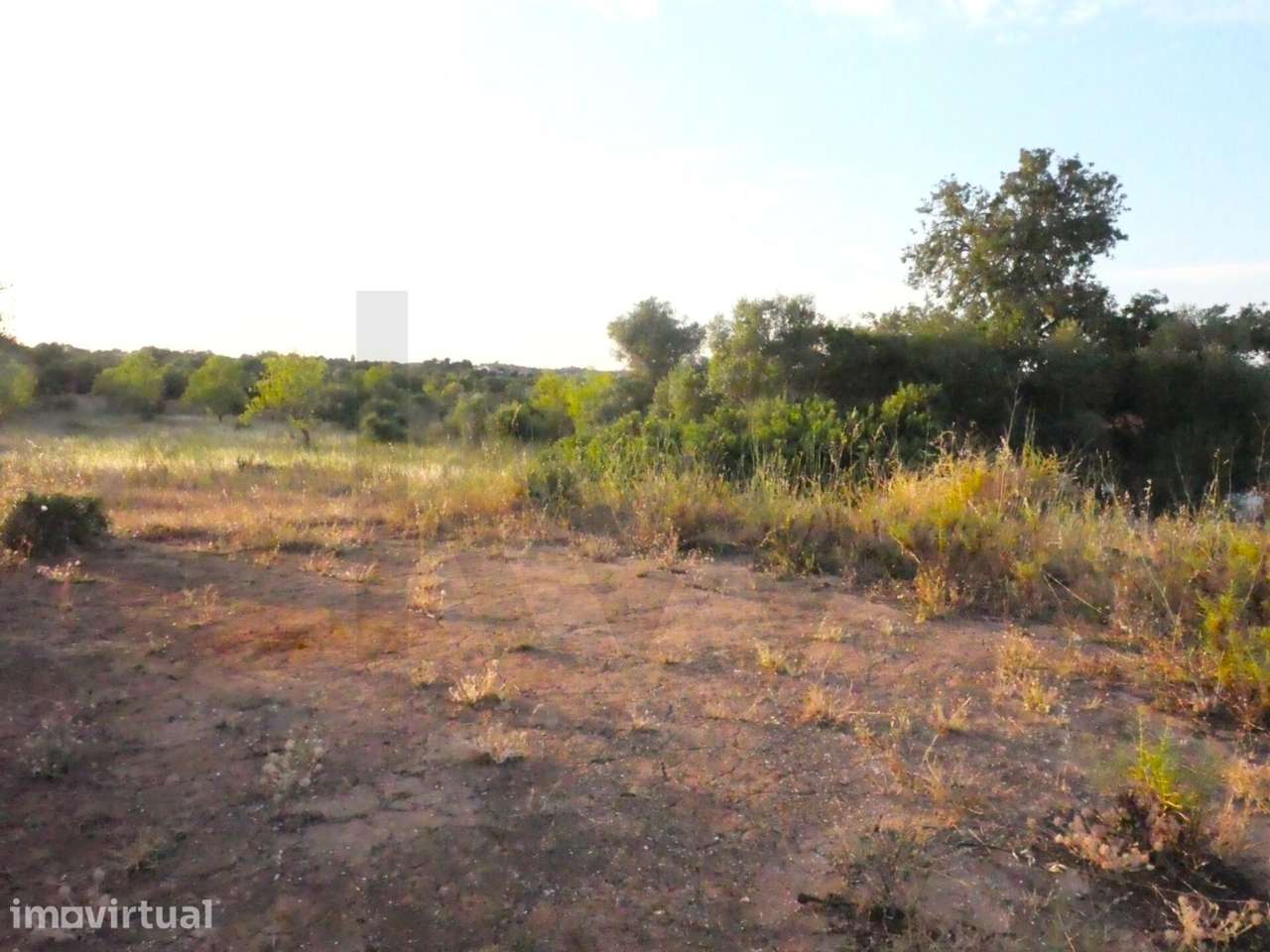 2 Terrenos rústicos confinantes em Vale da Vila, Silves, Algarve - Grande imagem: 4/19