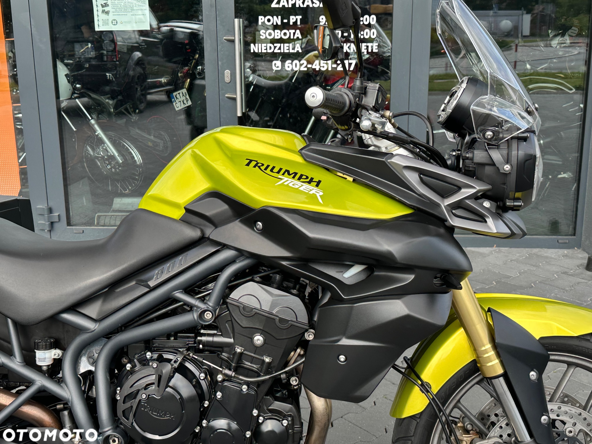 Triumph Tiger - 8