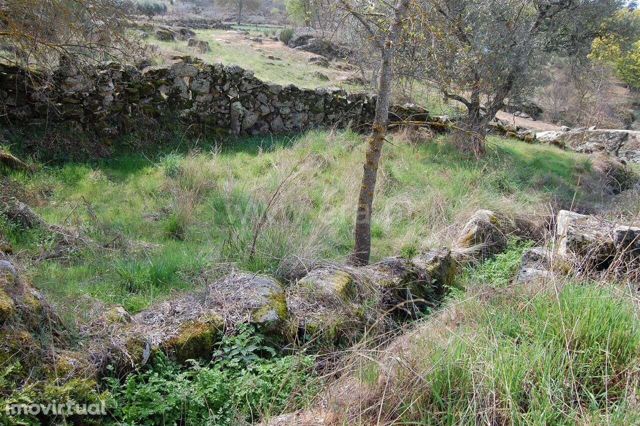 Moradia Rústica T1 / Belmonte, Inguias - Grande imagem: 5/7