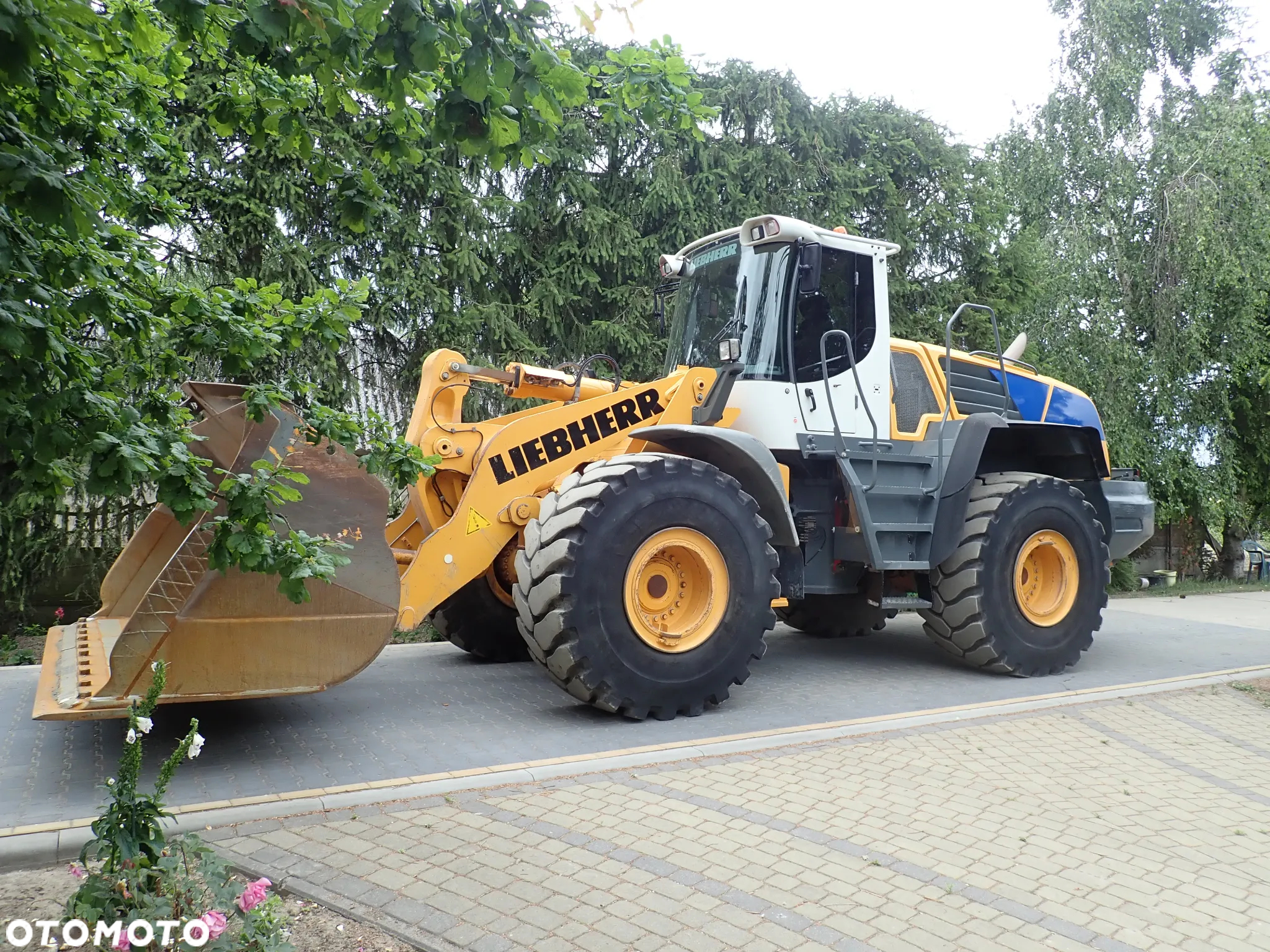 Liebherr L576 - 5