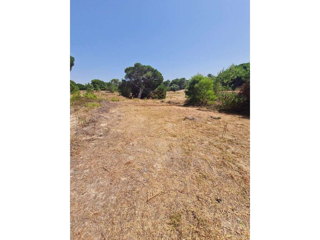 Lote de Terreno Urbano em Lagoa de Albufeira - Grande imagem: 5/6
