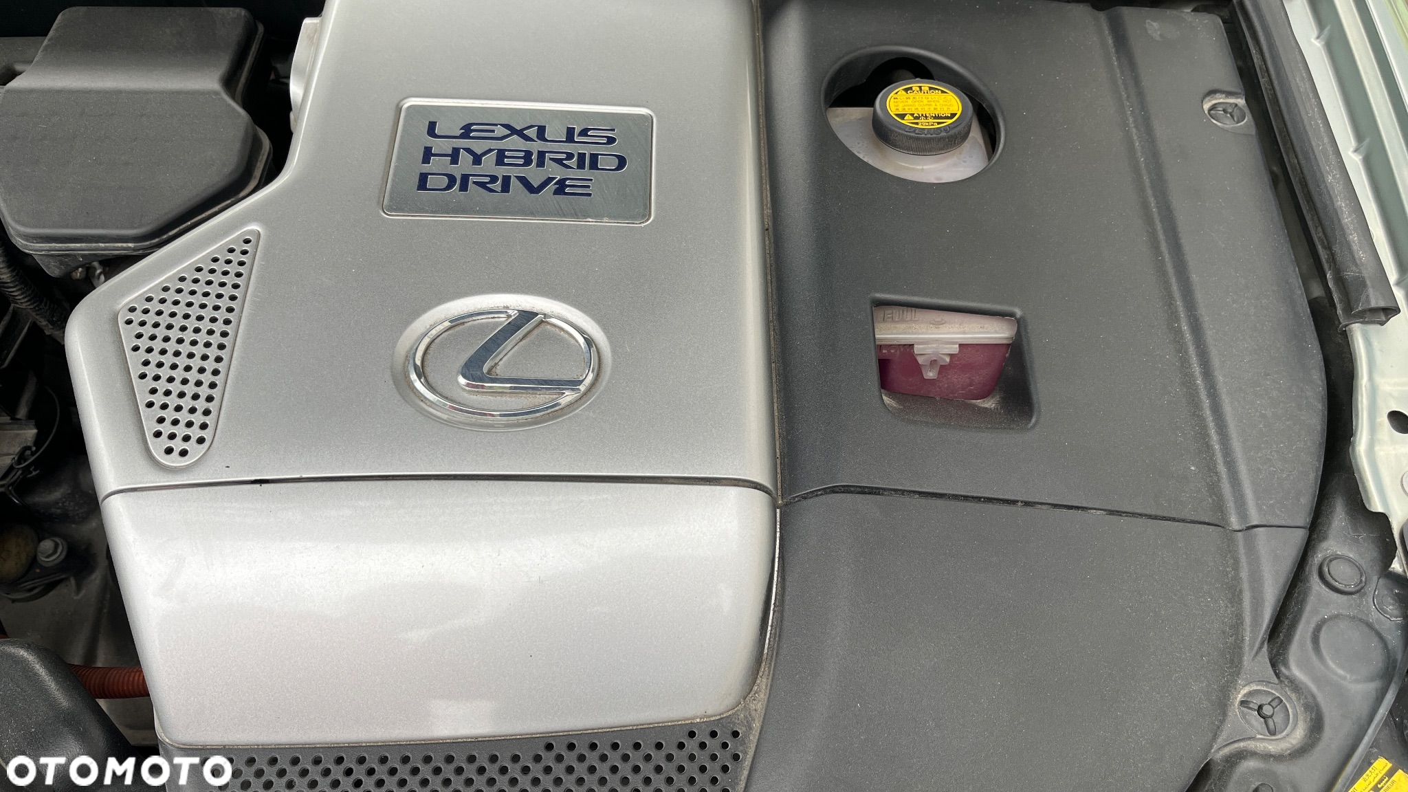 Lexus RX - 30