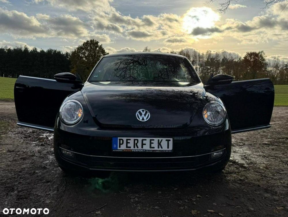 Volkswagen Beetle - 18