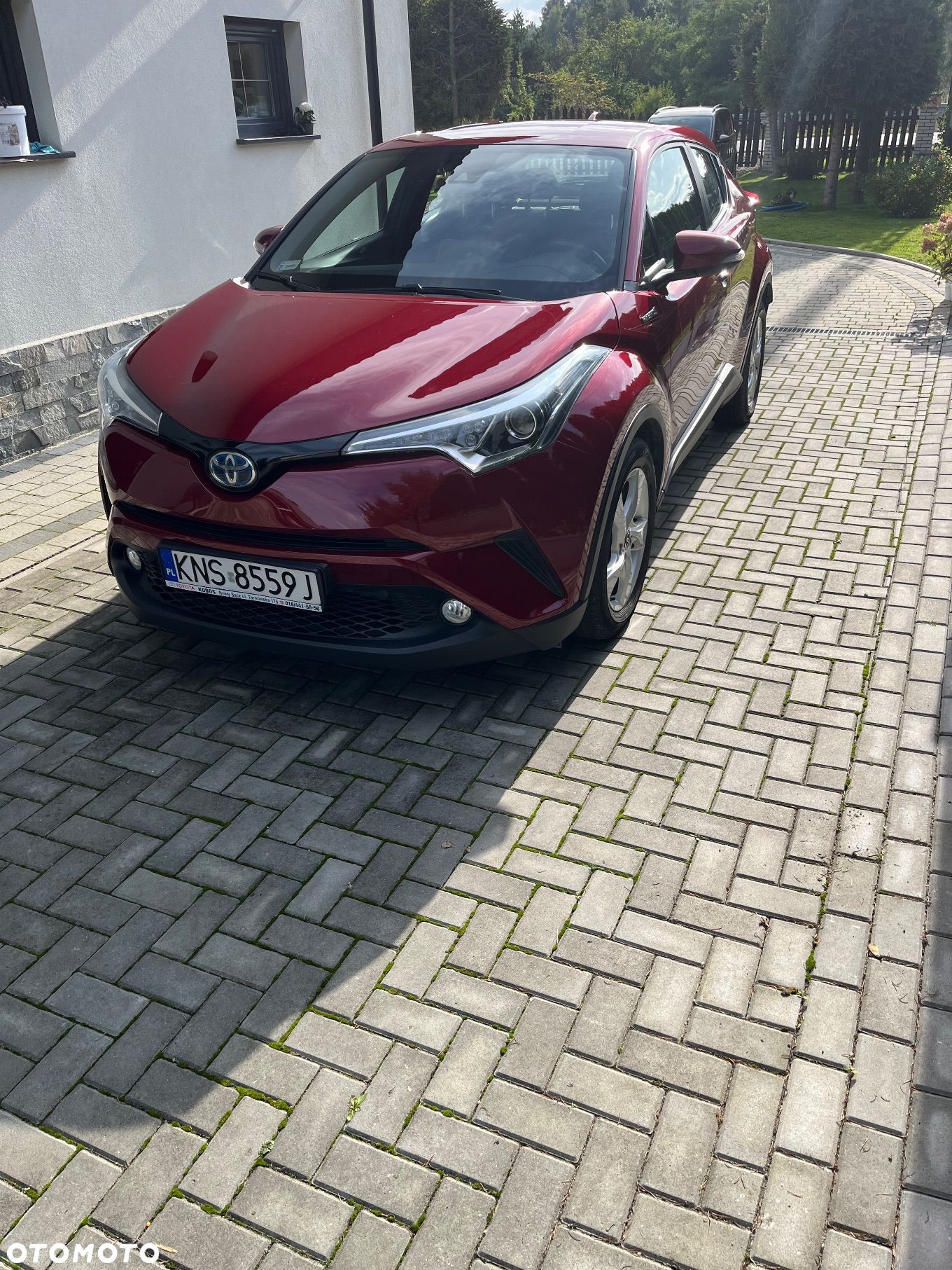 Toyota C-HR 1.8 Hybrid Dynamic - 1