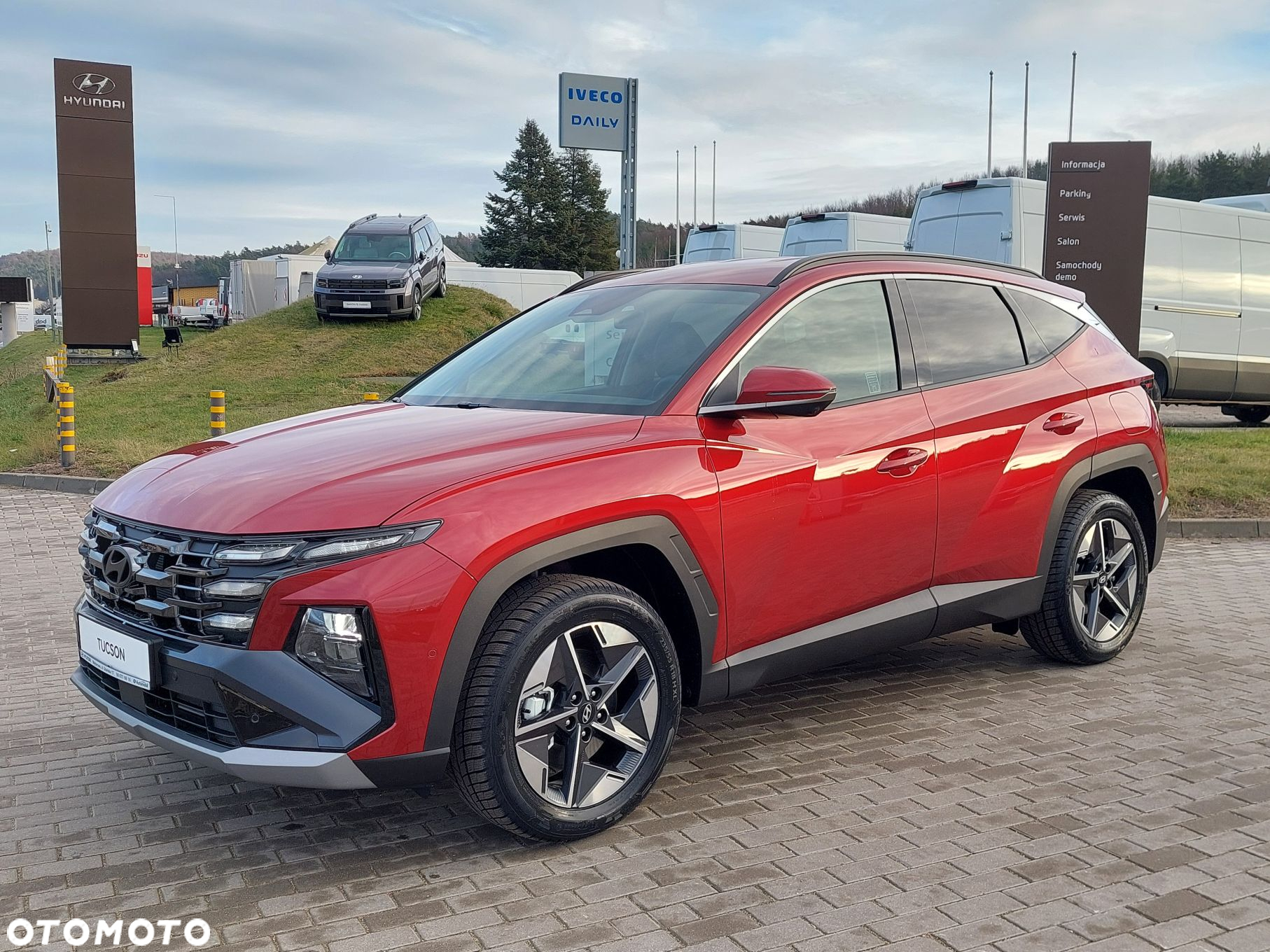 Hyundai Tucson 1.6 T-GDi HEV Executive 4WD - 6