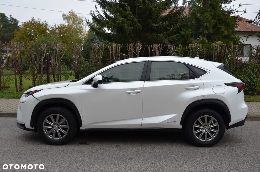 Lexus NX 350h Elegance 2WD - 4