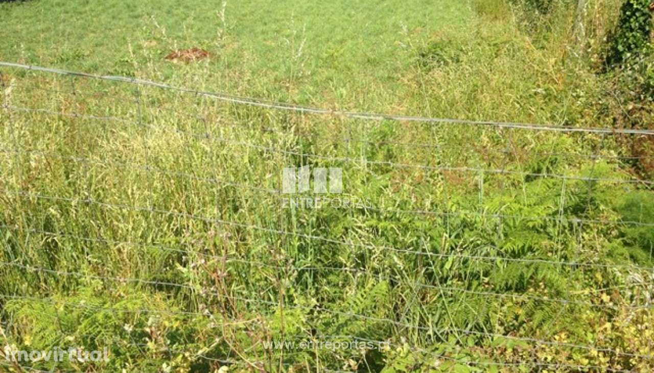 Terreno para venda, Vilarelho, Caminha - Grande imagem: 2/4