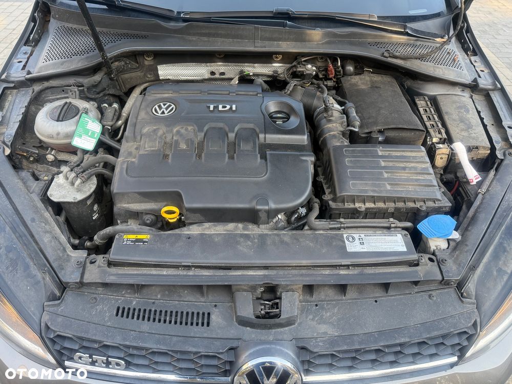 Volkswagen Golf Alltrack 2.0 TDI BMT 4Mot DSG - 34