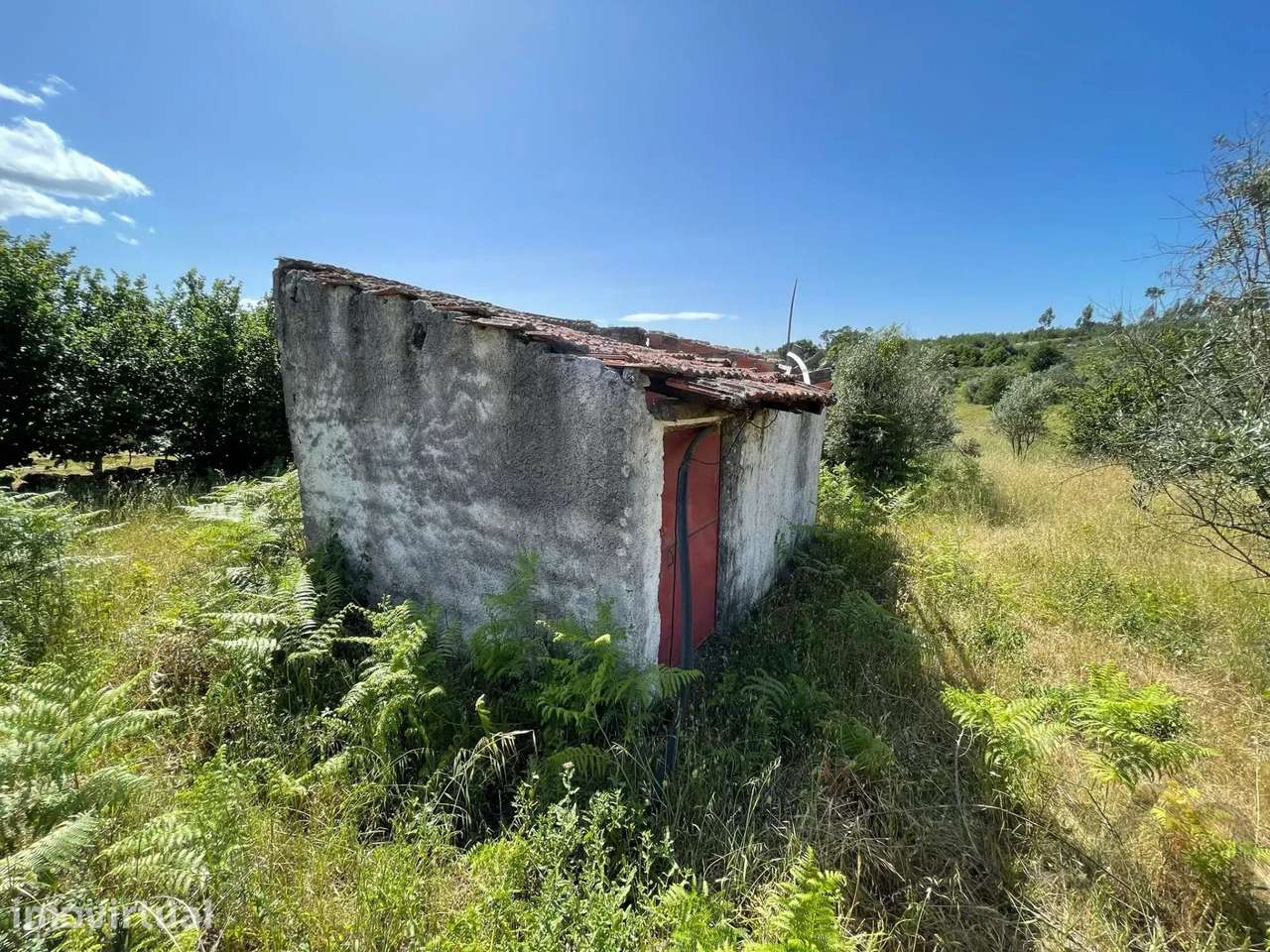 Terreno rústico de 1,6 ha em Mangualde - Grande imagem: 3/23