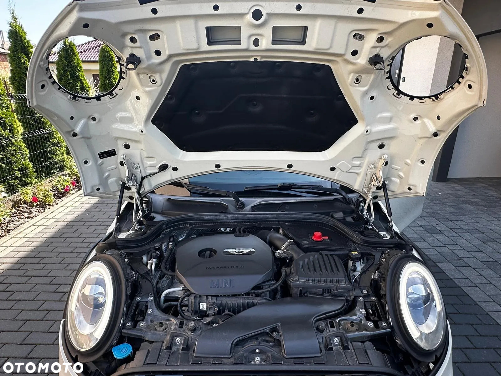 MINI Cooper Standard - 36
