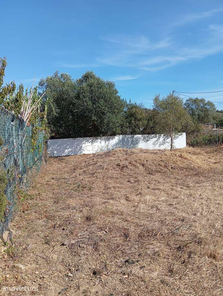 Oportunidade de Investimento em Rio de Mouro – Cabeça Gorda / Anafais - Grande imagem: 4/7