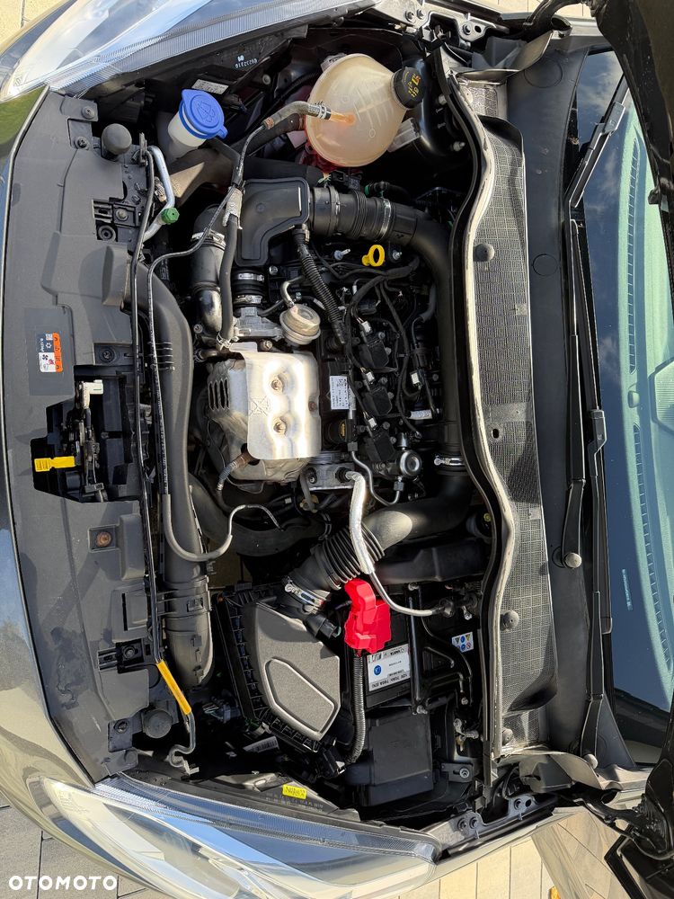 Ford Fiesta 1.0 EcoBoost GPF Titanium ASS - 21