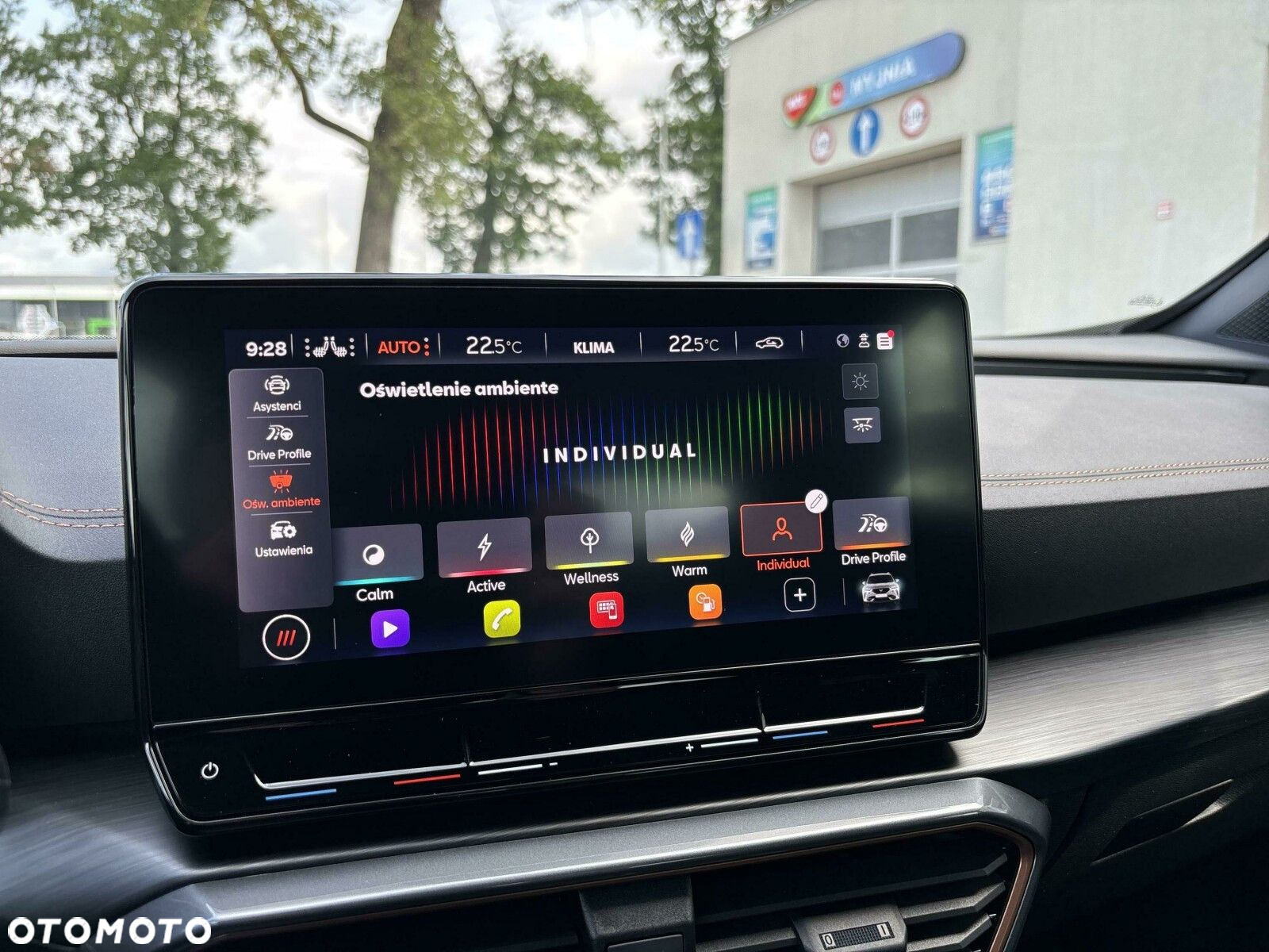 Cupra Formentor 1.5 TSI DSG - 30