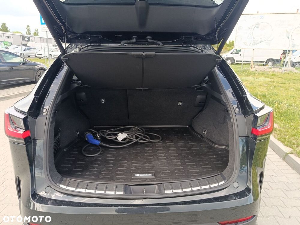 Lexus NX - 13