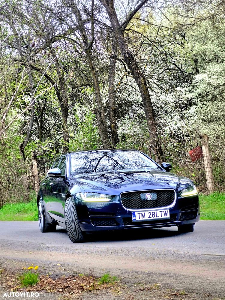Jaguar XE 20d Aut. Portfolio - 18