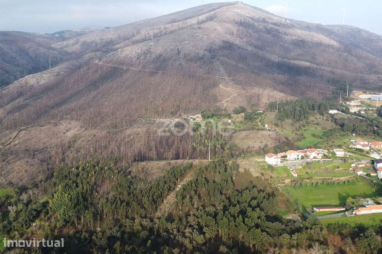 Terreno florestal urbanizável com 42.000 m2 - Rio Mau, Penafiel - Grande imagem: 2/12