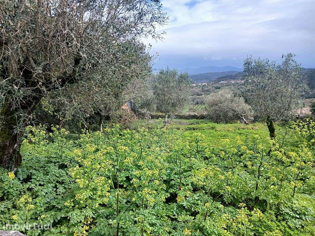 Terreno  para venda - Grande imagem: 5/10