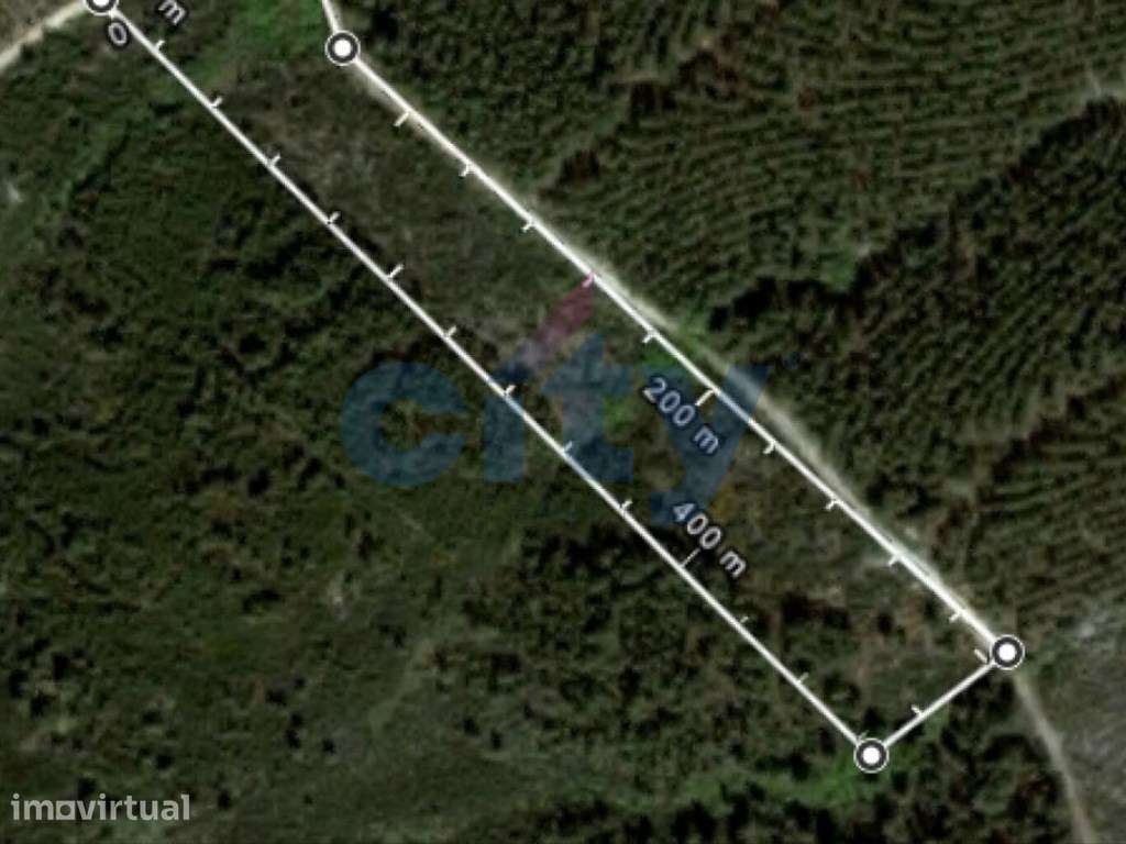 Terreno Florestal em Enxames - Grande imagem: 3/15