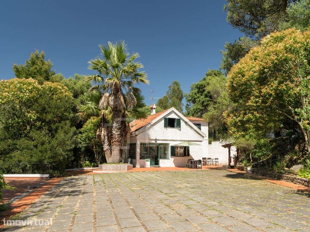 Quinta com terreno, em Sintra - Grande imagem: 2/42