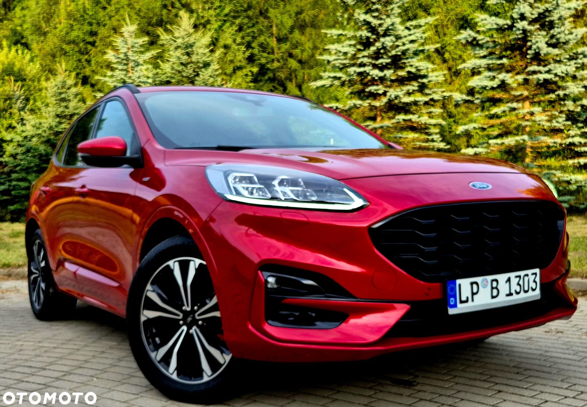 Ford Kuga 2.0 EcoBlue AWD ST-Line - 1