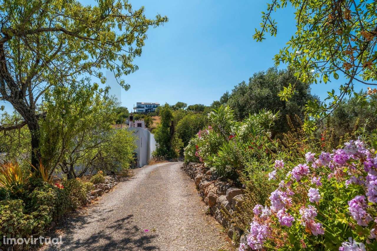 Ruína com Terreno de 2.100m2, Vista Mar e Potencial de Reabilitação – - Grande imagem: 5/30