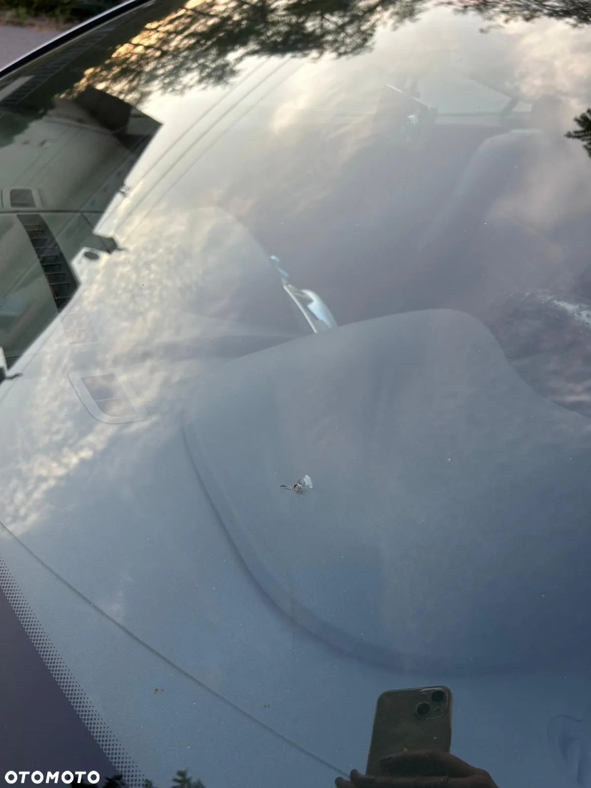 Renault Megane - 11
