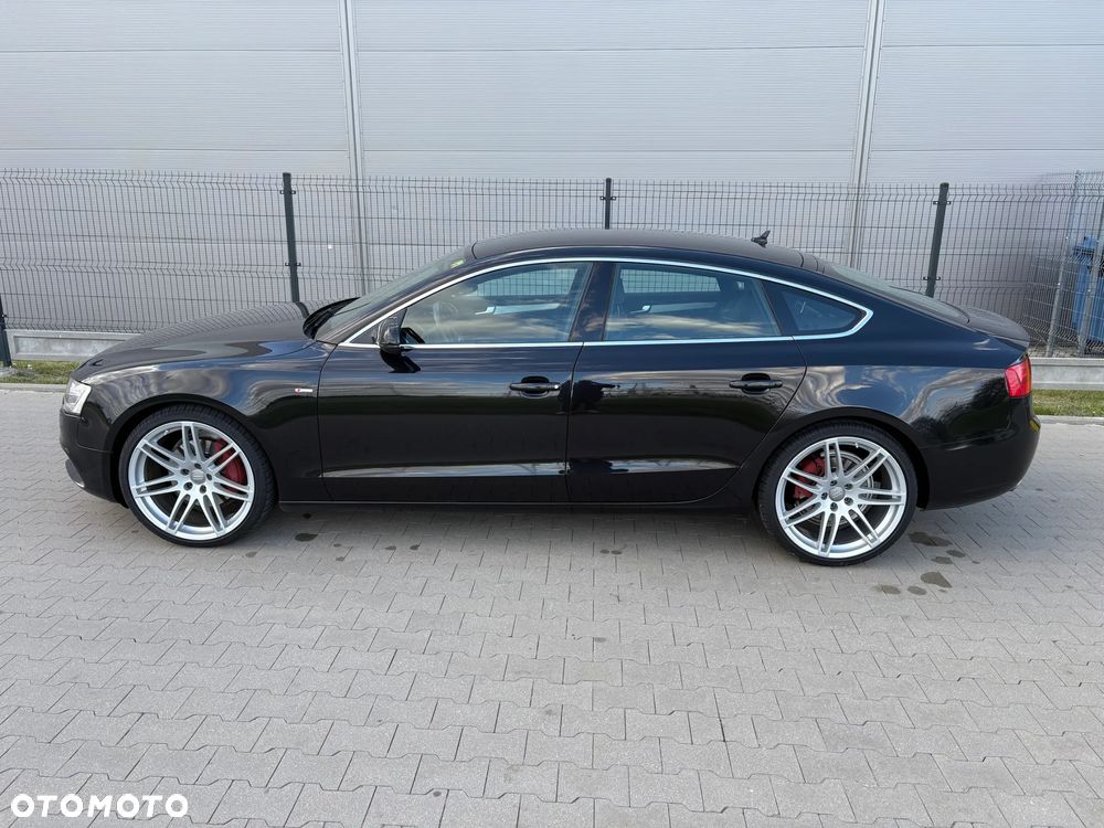 Audi A5 Sportback 3.0 TDI clean diesel quat DPF S tro - 7
