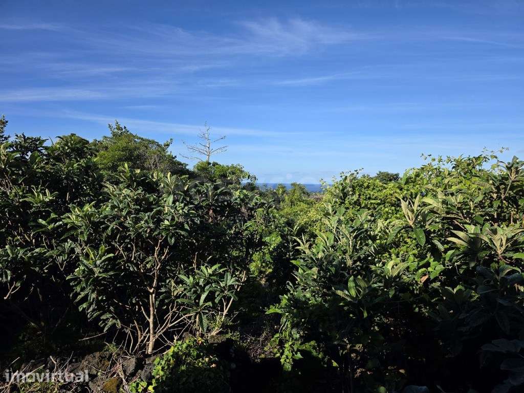 Terreno com Vista Mar e Montanha do Pico - S. Mateus, Madalena, Ilh... - Grande imagem: 5/7