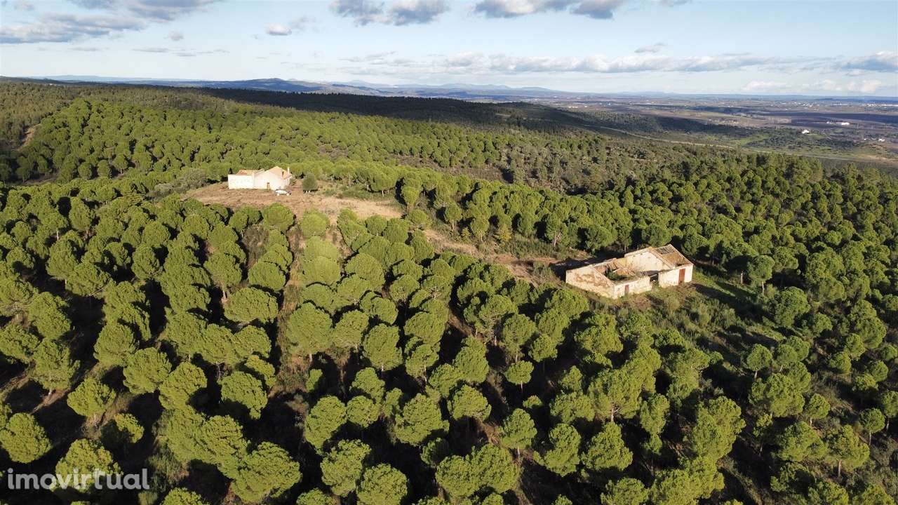 Herdade T5 Venda em Escalos de Baixo e Mata,Castelo Branco - Grande imagem: 4/31