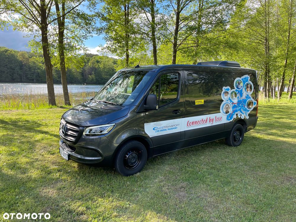 Mercedes-Benz Sprinter - 2