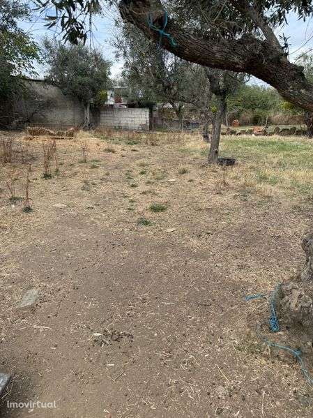 Terreno em maxiais - Grande imagem: 3/5