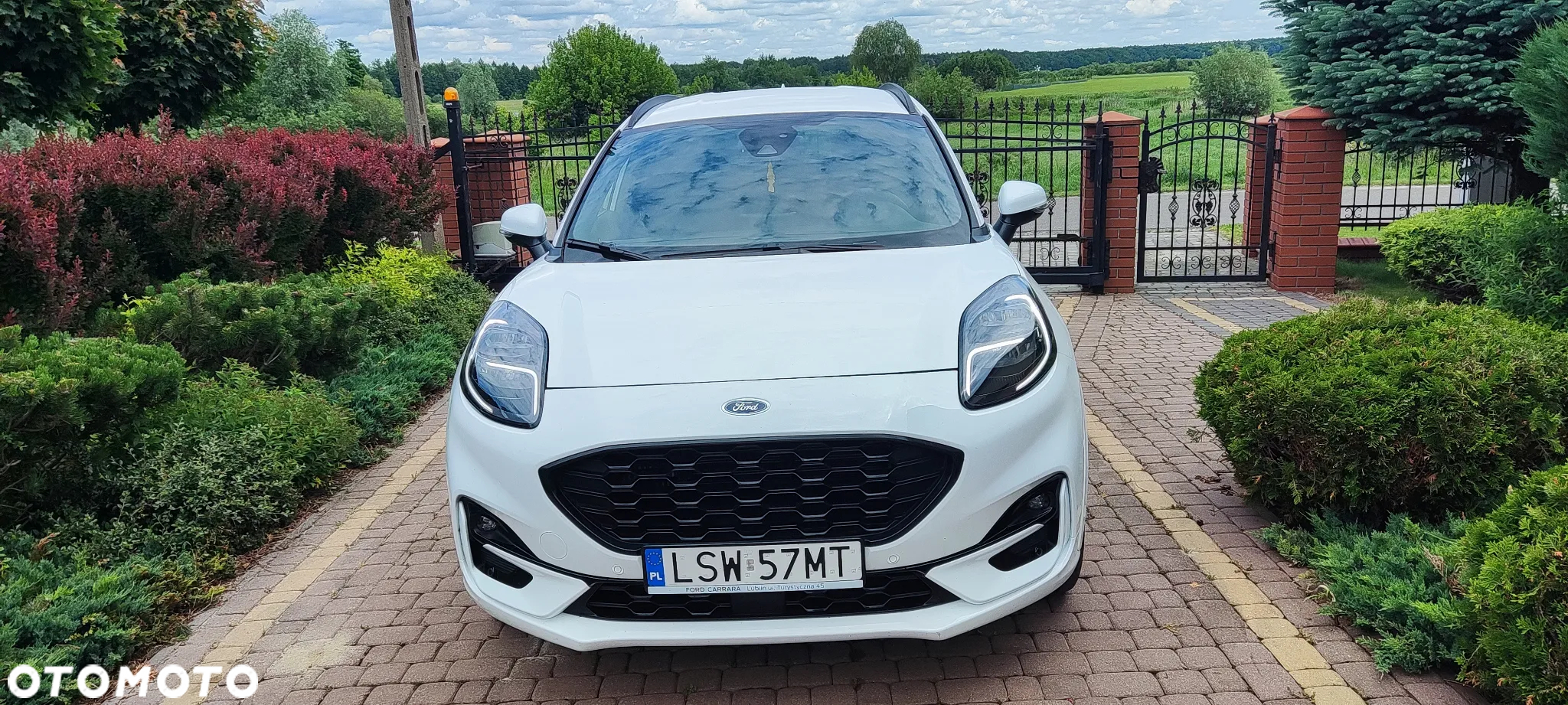 Ford Puma 1.0 EcoBoost mHEV ST-Line X Gold DCT - 9