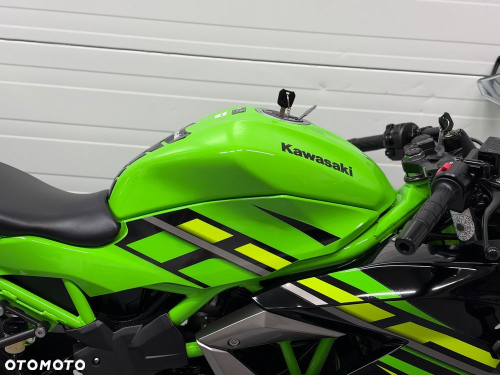 Kawasaki Ninja - 18