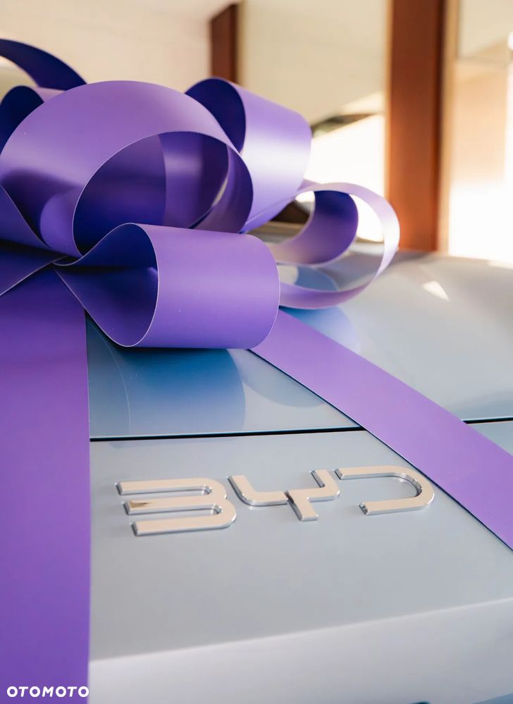 BYD Dolphin Surf - 2