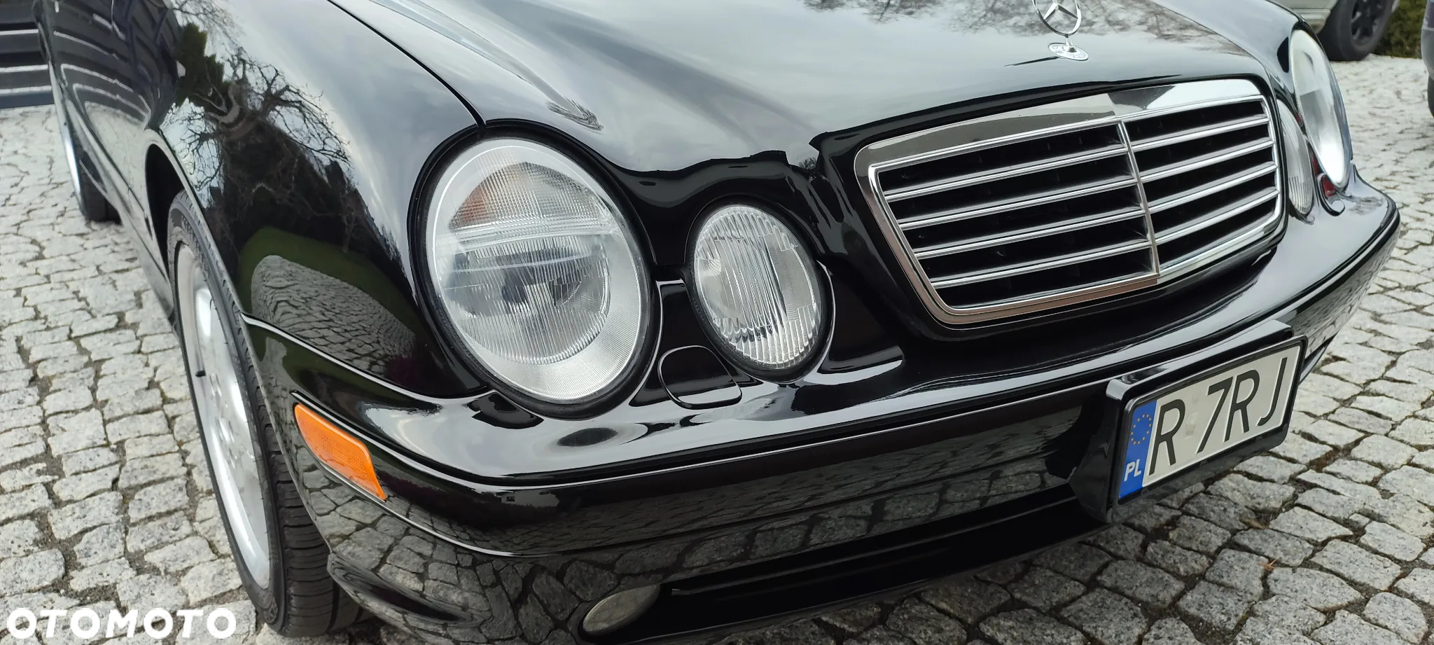 Mercedes-Benz CLK 430 - 14